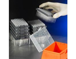 DECKWORK STARTER KIT NT 1000XT