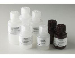 KIT PROTEIN A-G BFR HP SPINTRAP