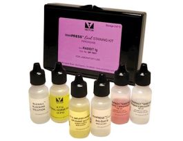 Excel Staining Kit, Anti-Rabbit IgG, 15 ml