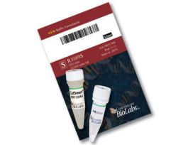 Bsg I 50 units, Restriction Enzyme Endonuclease