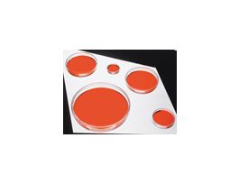 cell culture dish, non-treated, 60 mm diameter, 500/cs