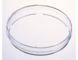 CONTACT DISH 65X15MM CS600