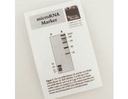 MICRORNA MARKER, 6UG