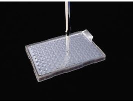 VWR FOIL ONE TAB NS CS100