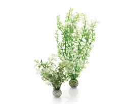 BIORB AQUATIC WINTER FLOWER SET 2 CS