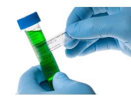 LABEL 1.75X0.5IN CRYO CLEAR LASER SH 1PK