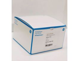 FILTER PAPER 934AH 35MM VOLATILE PK100
