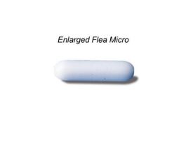 CT&TI-DE NEUTRALIZING 10GM