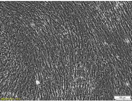 CULTURE FLASK T150 XF-HPME MATRIX PK5