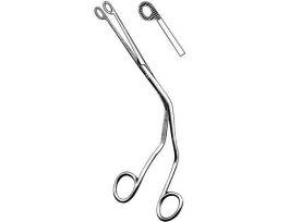 MAGILL CATH FCPS CHILD 