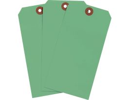 Blank Write-On Tags, 5.25" H x 2.625" W, Cardstock, Light Green 1000/PK
