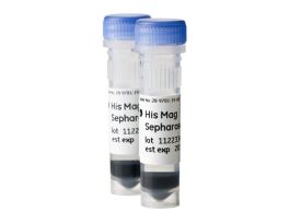 HIS MAG SEPHAROSE NI 2X1 ML