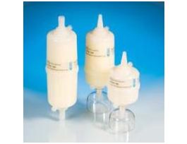 CAP SUPOR 0.2UM CAPSULE 50