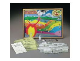 THE ROCK CYCLE CHART 60X39CM