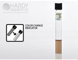 MOELLERS LYSINE DECARBOXYLASE PK20