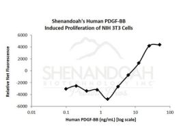 ANIMAL FREE HUMAN PDGF-BB 1MG