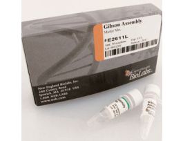 GIBSON ASSEMBLY MASTER MIX - 5