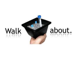 WALKABOUT TRAY WITH BEADS