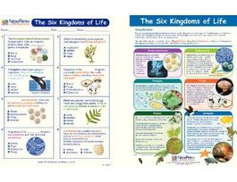 BOOK VISUAL GUIDE 6 KINGDOMS NEW. CS
