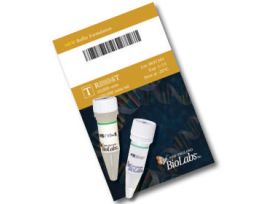 EcoR V (100,000 units/ml) 4,000 units, Restriction Enzyme Endonuclease-high concentration