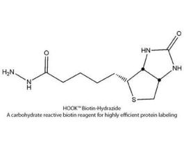 BIOTIN LC HYDRAZIDE KT 10RXN
