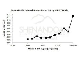 200-62-500UG MOUSE IL-17F