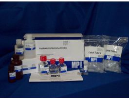 KIT SPIN FASTDNA ISOL GNMC DNA FRM FECES