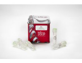 REAGENT TRANSIT-LENTI TRANSFC 5X1.5ML