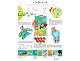 CHART CHOLESTEROL