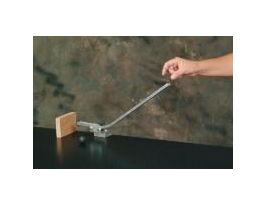 ANIML CLASIFICATION TDCT