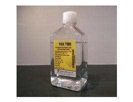 10X TBE (MBG) 4L