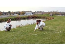 KIT BIRDS AND WORMS MODELING NATSEL LAB