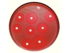 NITROFURANTOIN 300MCG PK-10.