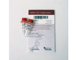 NEX ULTRA II LIGATION MOD E7595S