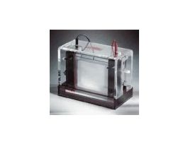 Owl Large-Vertical Double-Sided Cell, 16 x 14 cm gel size