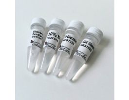 O GLYCOSIDASE 2,000,000 UNITS