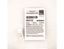 ANTARCTIC THERMOLABILE UDG