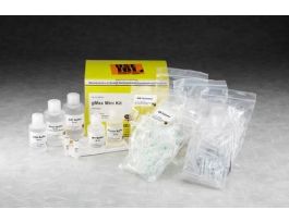 G MAX MINI GENOMIC KIT 300PR