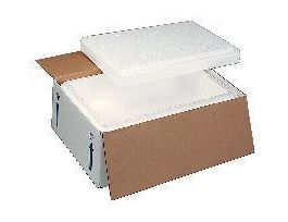 SHIPPER EPS FM 19-3/8X11-1/4X3-7/8IN CS3