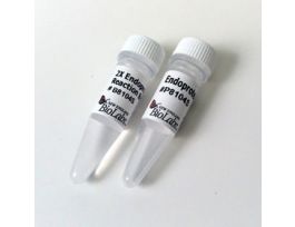 ENDOPROTEINASE ASPN, 50UG