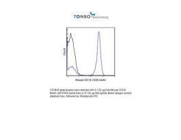BIOTIN ANTI-MOUSE CD19 500UG