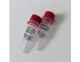 NEBNEXT QUICK LIGATION MOD 100