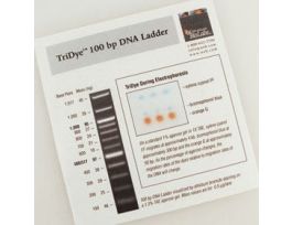 TRIDYE 100 BP DNA LADDER