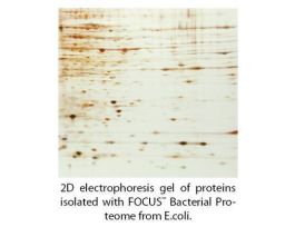 KIT PLANT PROTEOME FOCUS 2D ELP 25PREPS