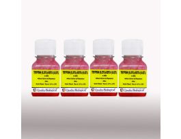 TRYPSIN .25% EDTA .02% 4X100ML