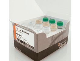 ONETAQ HTSTRT DNA POLYMRS 1000
