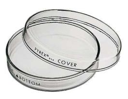 Brand 3160 petri dish; 150 x 15 mm, case of 24