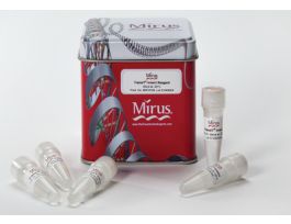 REAGENT TRANSIT-INSECT 1KUL PK5