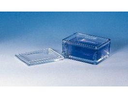 STAINING DSH 50 SLIDE CS=6SETS