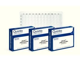 KIT CDNA SUPERMIX QSCRIPT 25RXN